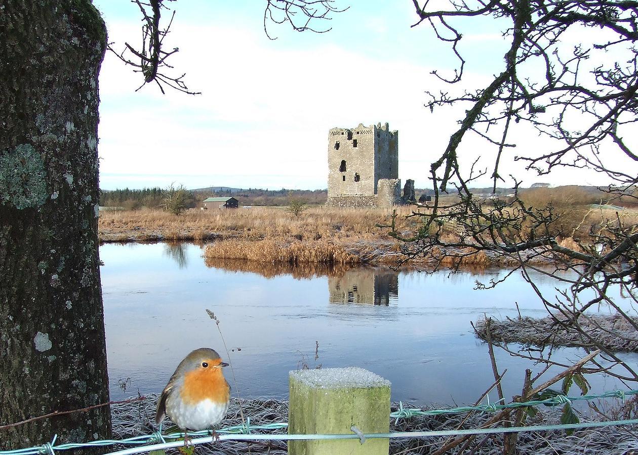 Douglas House Castle Douglas Exteriér fotografie